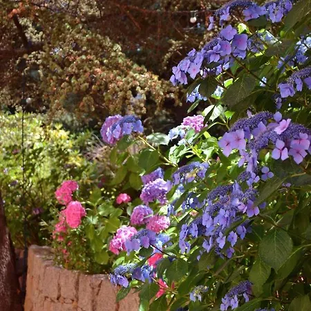 Beau Sejour Hotel 3*