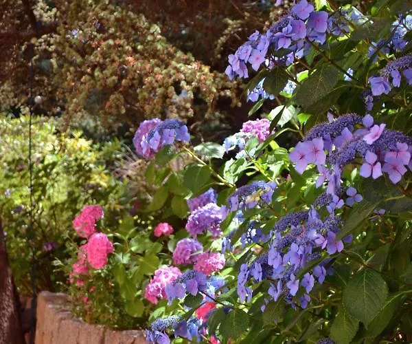 Beau Sejour Hotel 3*